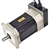 EC121A Brushless Motor